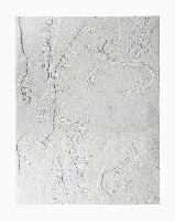 Célio Braga, 11. Untitled (White Blur), 2017. Cuts and carvings on paper. 29.5 x 21 cm
PHŒBUS•Rotterdam